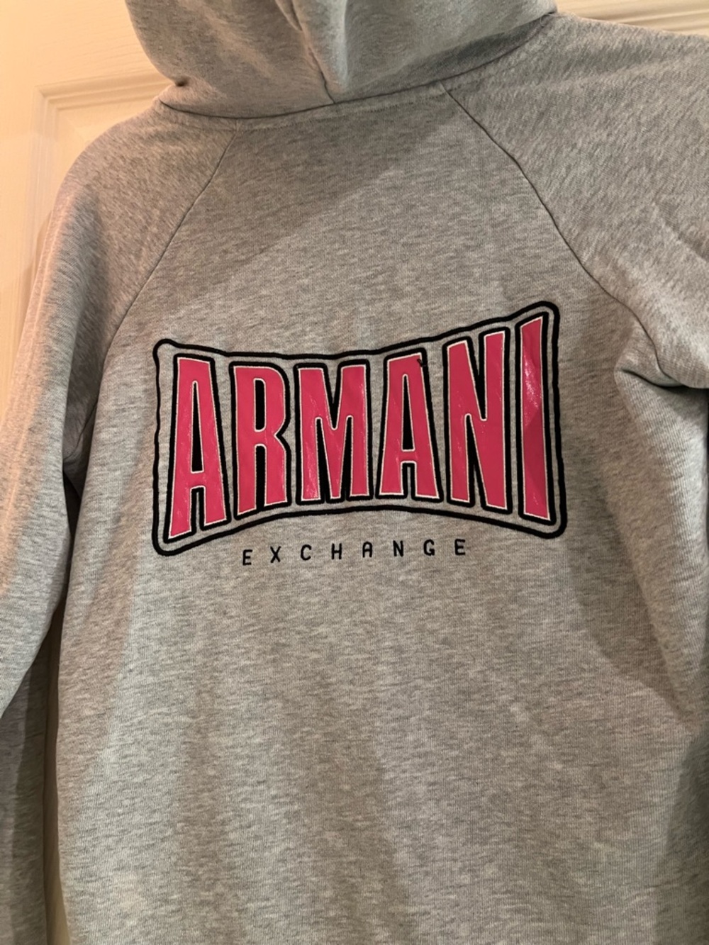 Armani Exchange Light Gray Zip-Up Hoodie with Gold Hardware